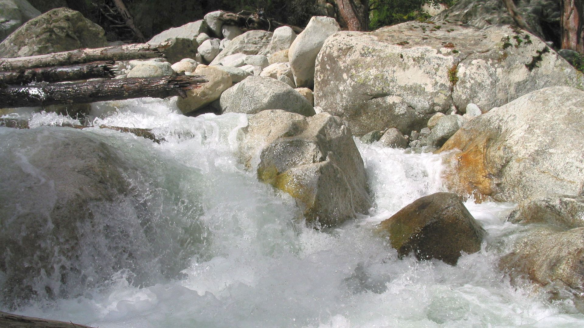 Kajak, Fluss Restonica, Abschnitt Bergerie de Grotelle - Corte