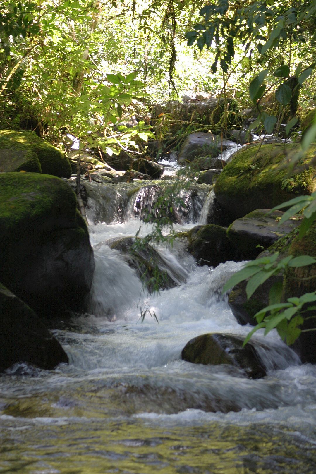 Kajak, Fluss Chirripo Pacifico, Abschnitt Canaan - Chimirol (Oberer Chirripo)