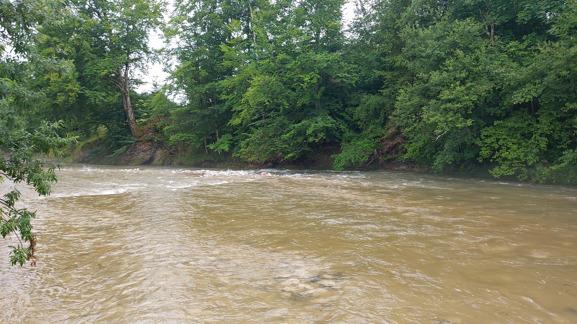 Kajak, Fluss Ybbs, Abschnitt Langau - Lunz beim Campingplatz 