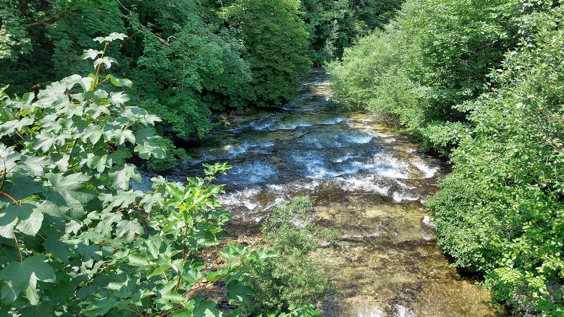 Kajak, Fluss Lunzer Seebach, Abschnitt Seebad - Mündung in Ybbs die ersten Meter 
