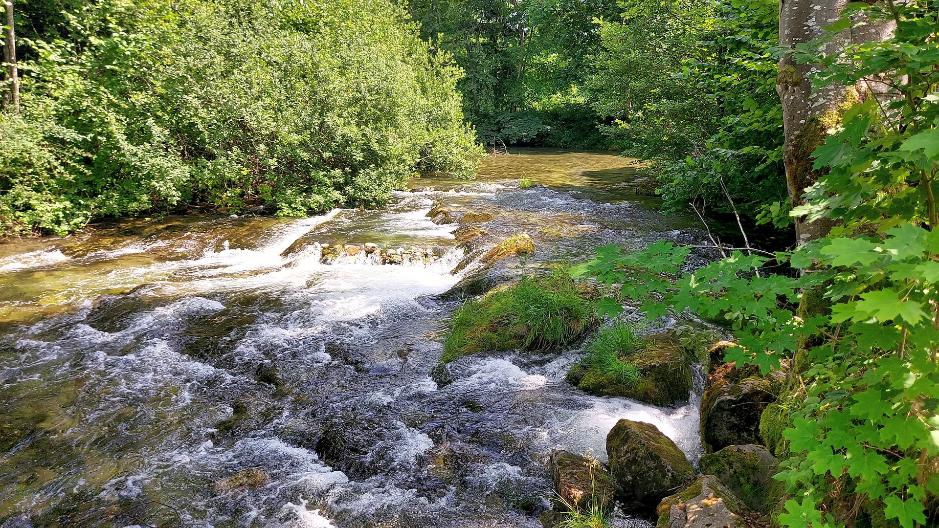 Kajak, Fluss Lunzer Seebach, Abschnitt Seebad - Mündung in Ybbs Stufen vor dem Seebachbad 