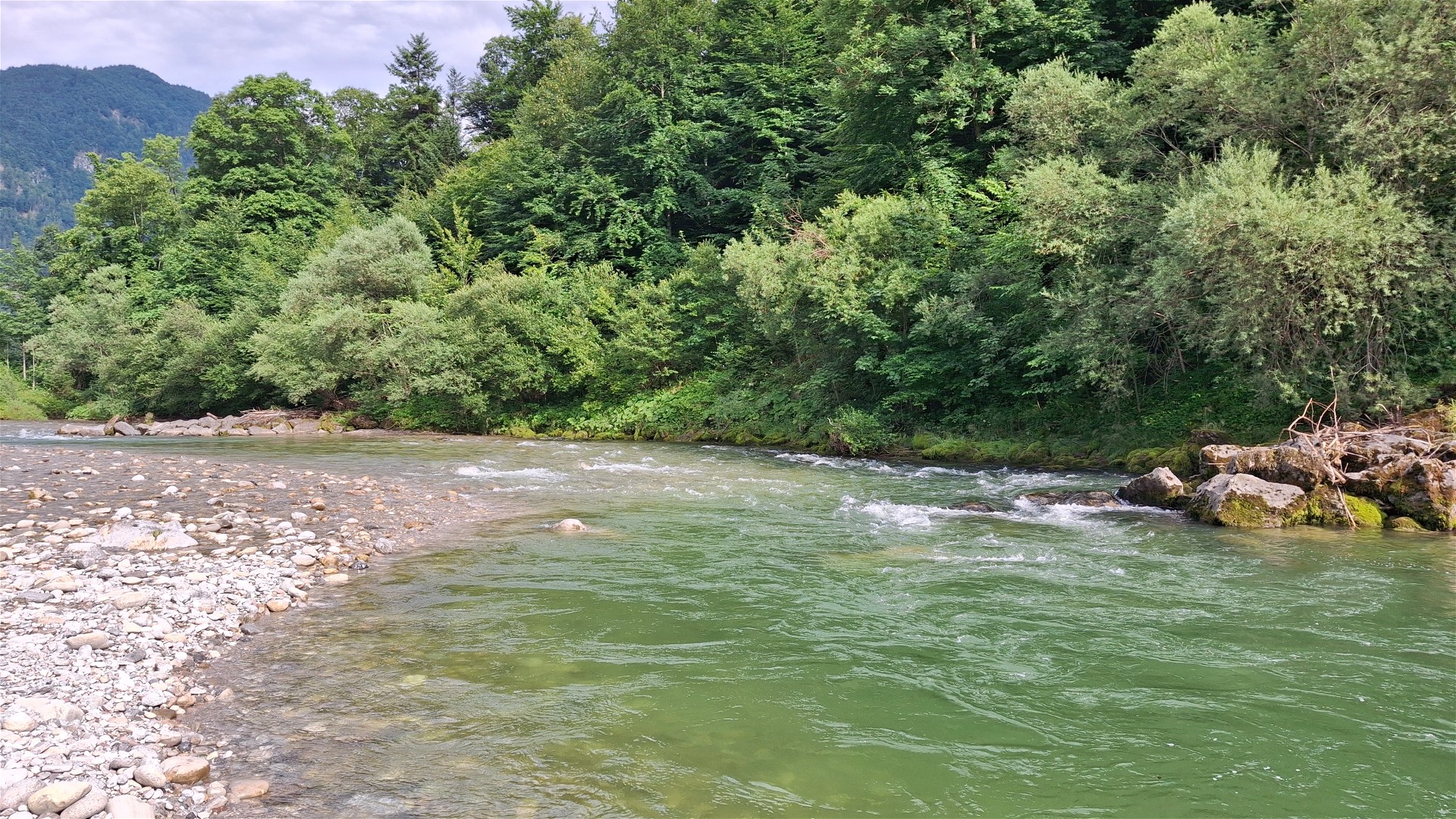 Kajak, Fluss Lammer, Abschnitt Oberscheffau - Unterscheffau (Untere Lammer) leichte Schwälle 