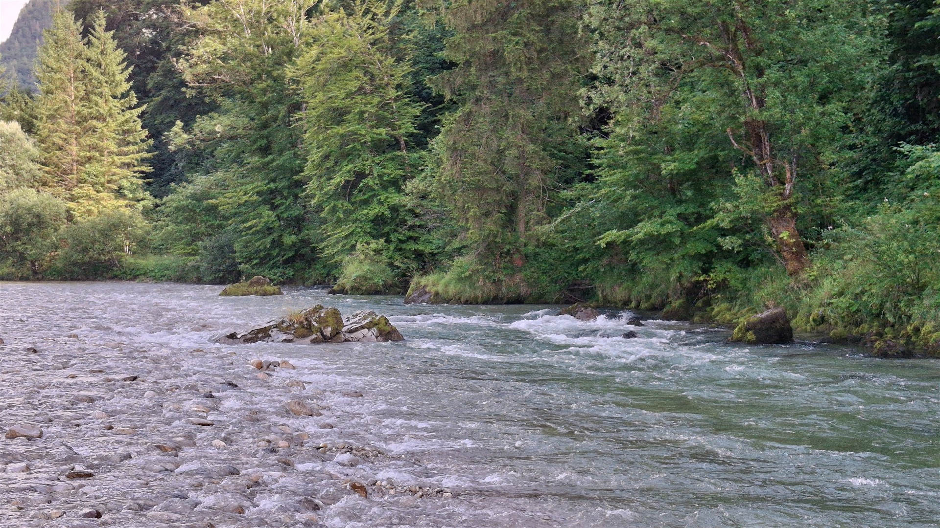 Kajak, Fluss Lammer, Abschnitt Oberscheffau - Unterscheffau (Untere Lammer) Felsblöcke kurz vor dem Ausstieg 