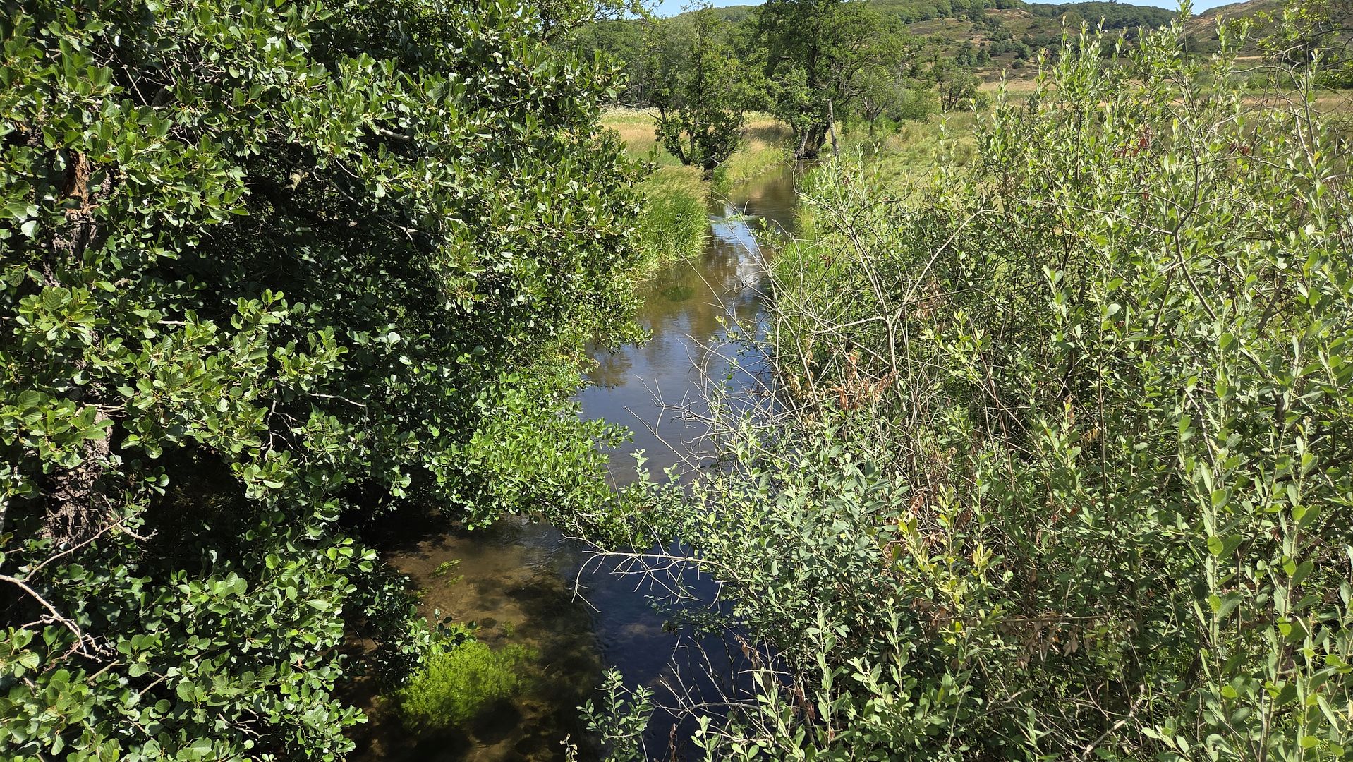 Kajak, Fluss Lindenborg Å, Abschnitt Rebild - Støvring die ersten Meter durch den Dschungel 