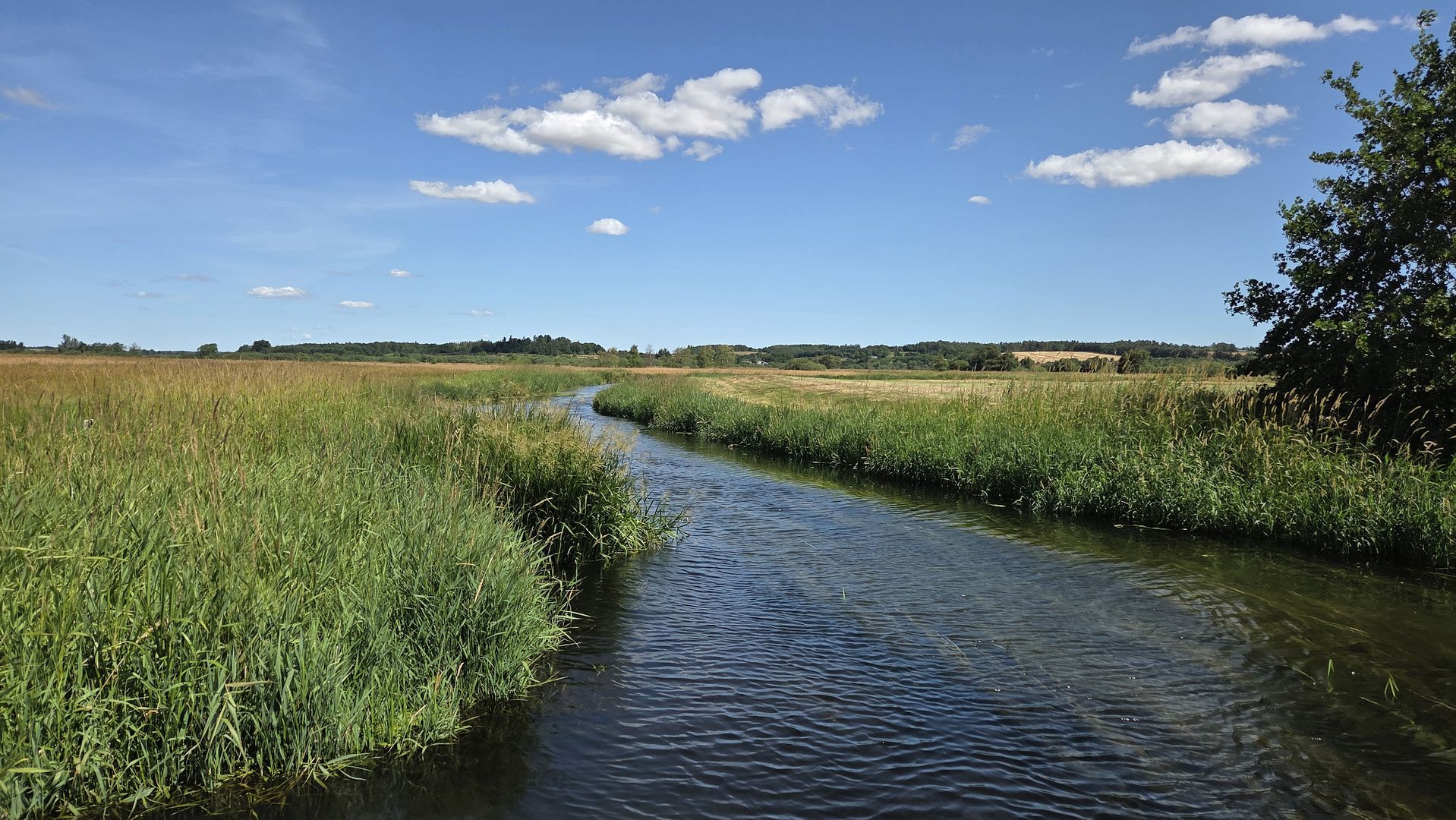 Kajak, Fluss Lindenborg Å, Abschnitt Rebild - Støvring der Ausstieg 