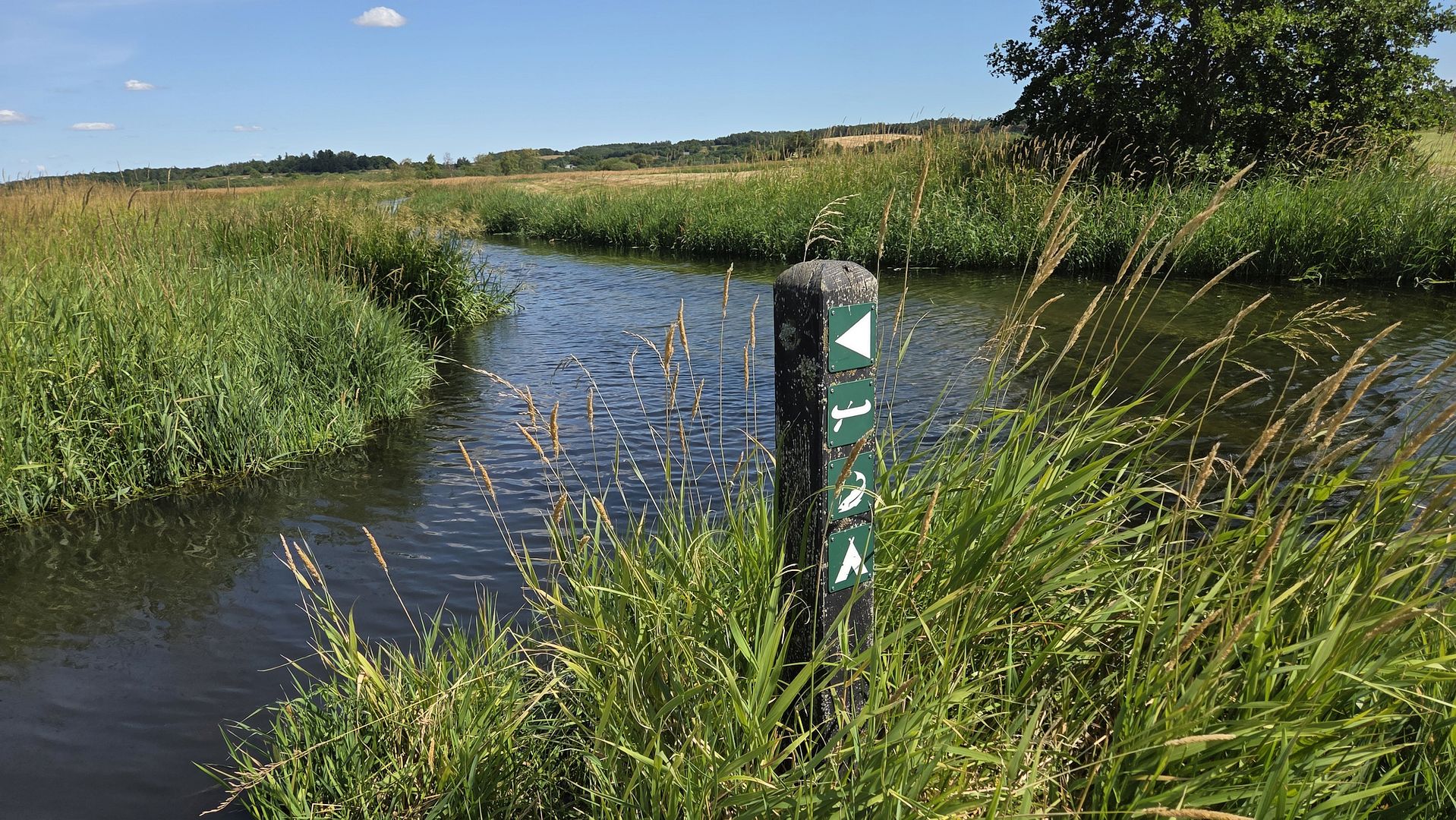 Kajak, Fluss Lindenborg Å, Abschnitt Rebild - Støvring Wiesenmänder am Ausstieg 
