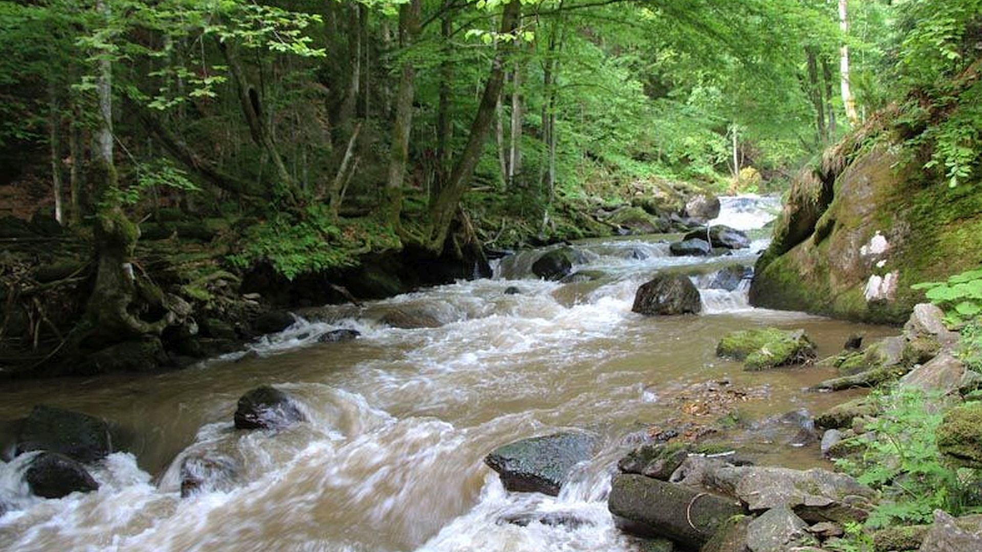 Kajak, Fluss Schwarze Sulm, Abschnitt Grabenjosl - Schwanberg in der Schlucht 