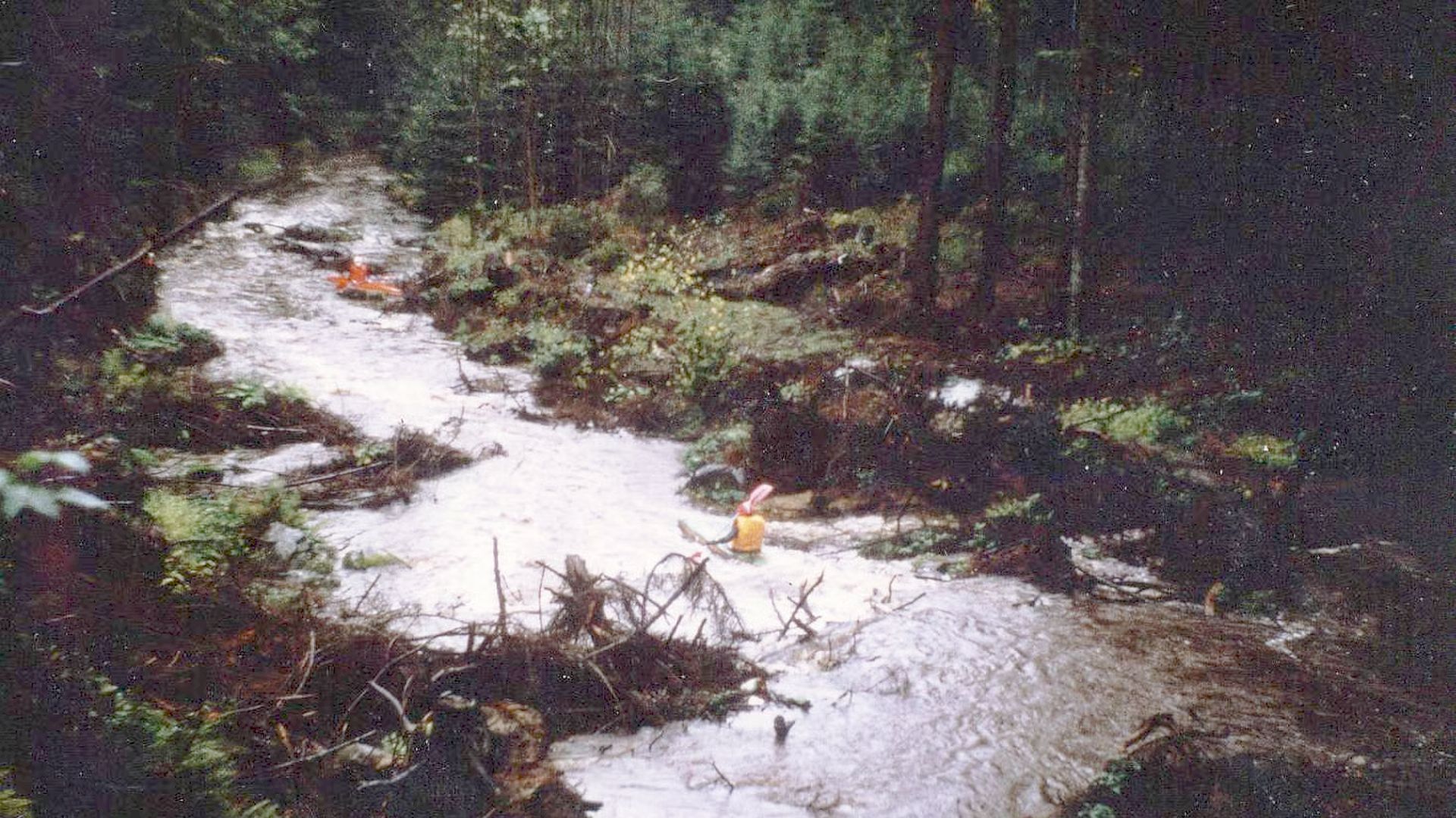 Kajak, Fluss Purzelkamp, Abschnitt Waldhausen - Rastenfeld in der Waldschlucht 