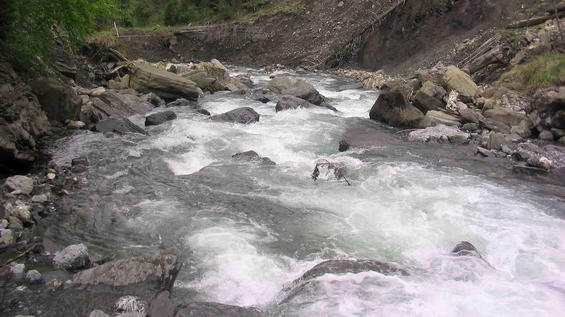 © Christian P. 8.9.05 Kajak, Fluss Mellenbach, Abschnitt Wehr - Holzbrücke (Mittlerer Mellenbach) direkt anschließend die zweite Schlüsselstelle