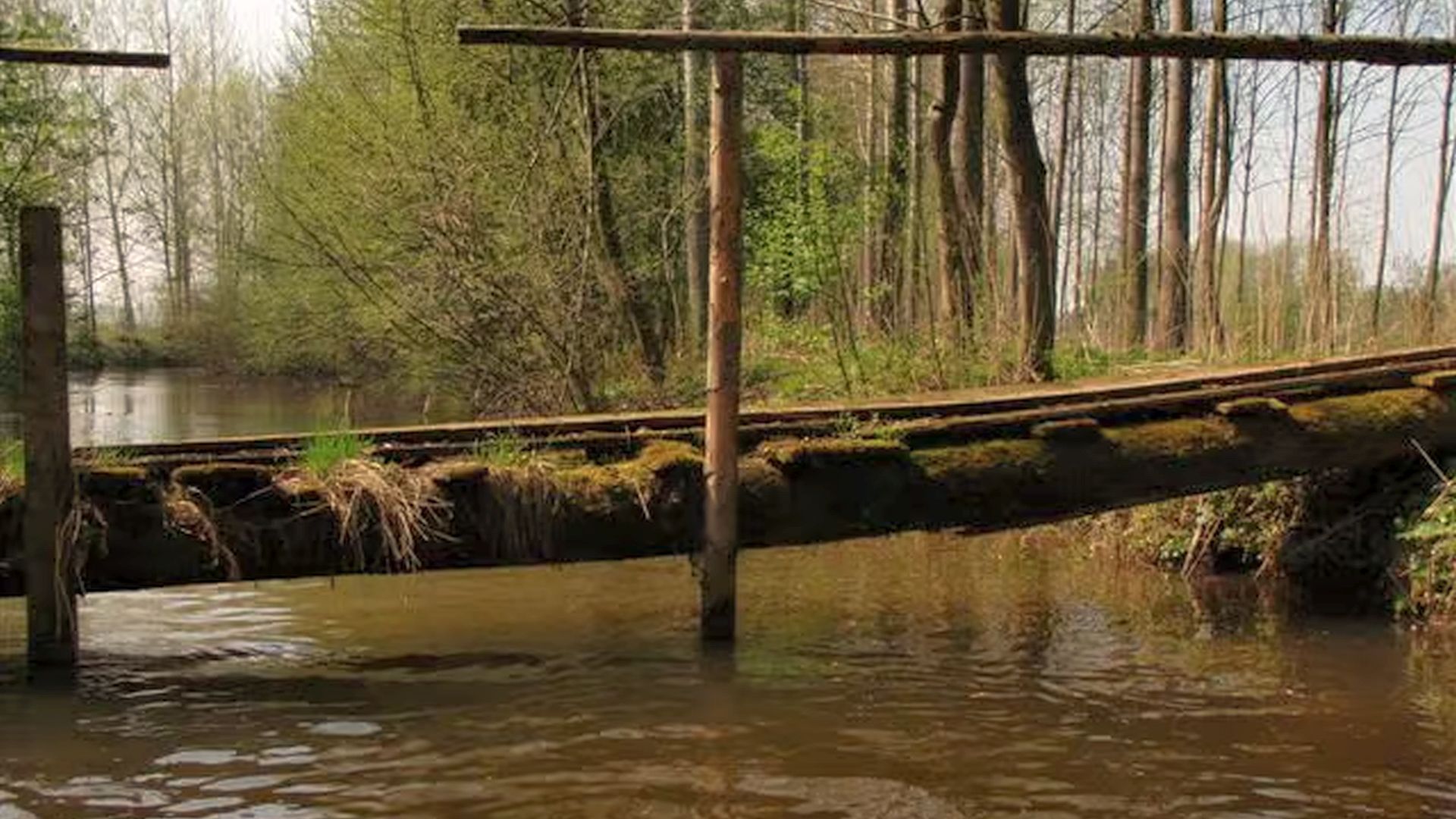 Kajak, Fluss Naarn, Abschnitt Schwemmnaarn einer der niedrigen Stege 