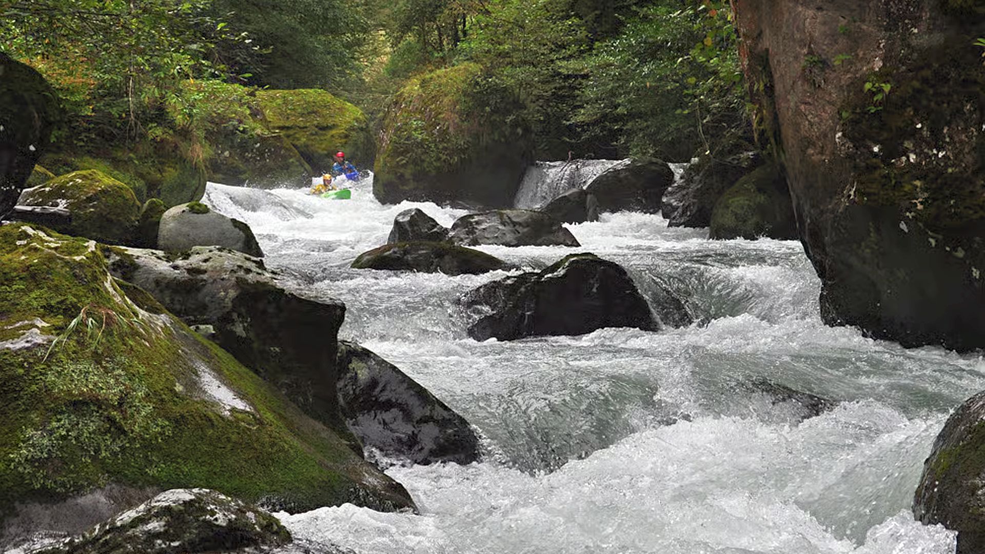 © Christoph S. 11.10.16 Kajak, Fluss Kintrishi, Abschnitt Ranger House - Hängebrücke die Kernstelle Traumwildwasser zwischen großen Blöcken