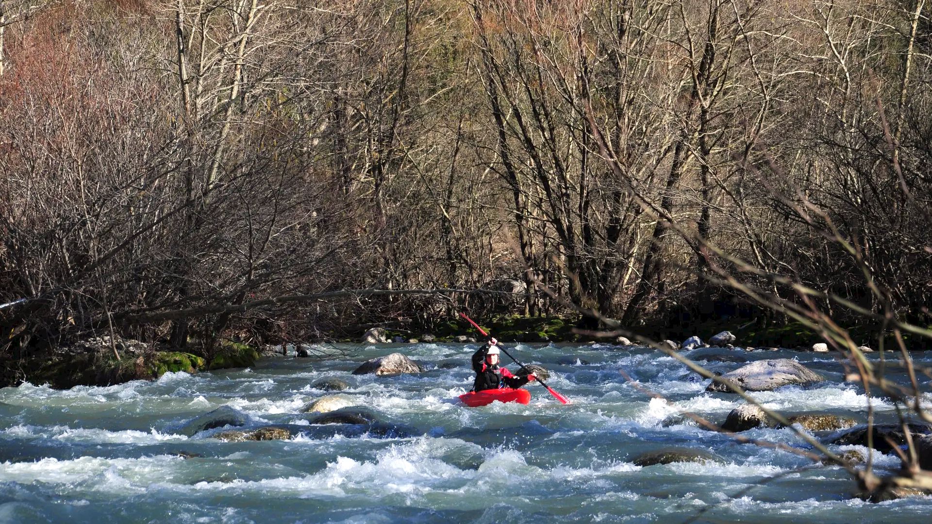 Kajak, Fluss Metsovitikos, Abschnitt Megalo Peristeri - Baltouma (Unterlauf) schnelles Wildwasser gesäumt von Auwald 