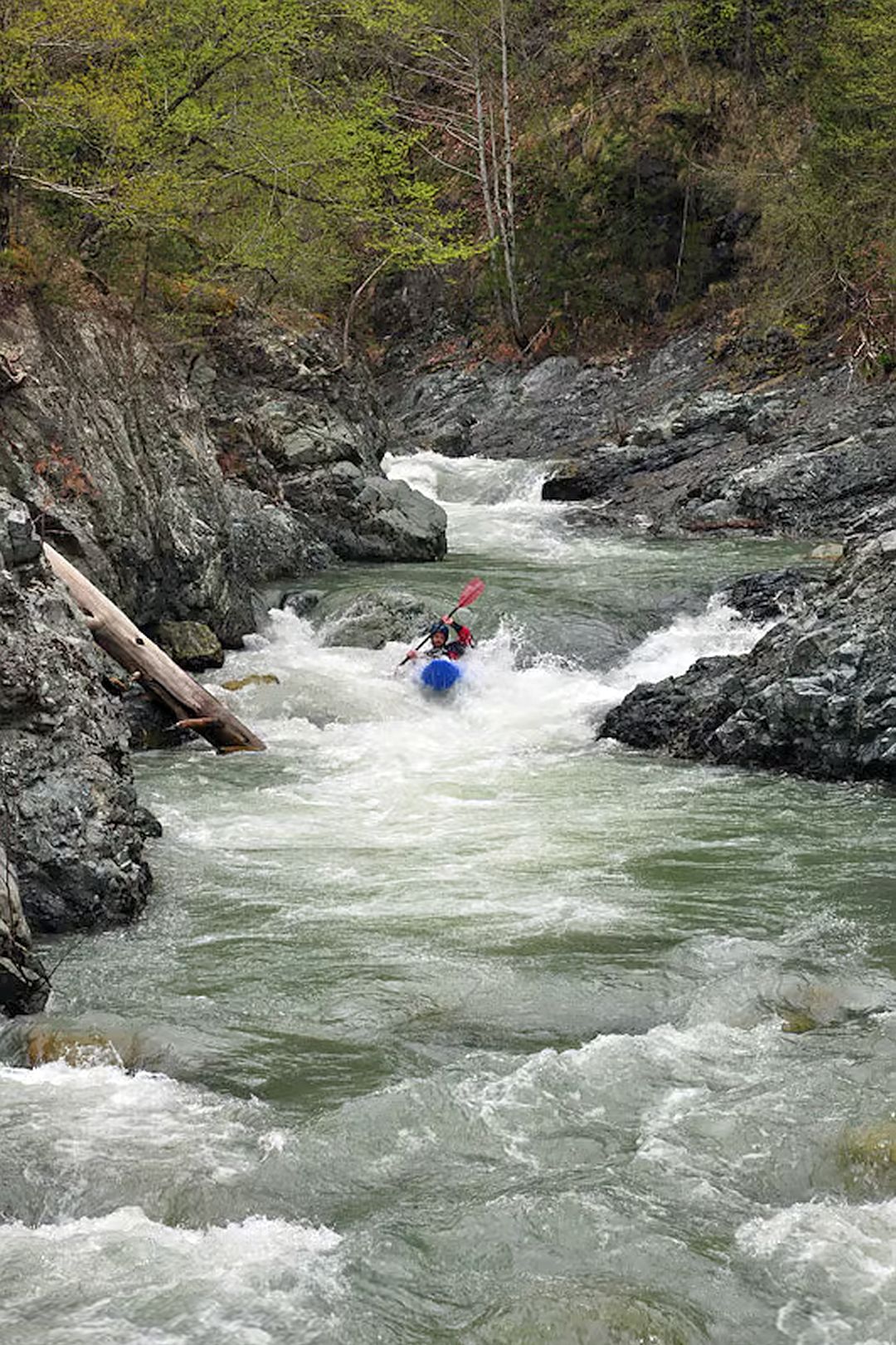 © Christoph S. 6.2.17 Kajak, Fluss Perivoliotiko, Abschnitt Ende Waldschlucht - Brücke (Grüne Klamm) zu Beginn der Grünen Klamm