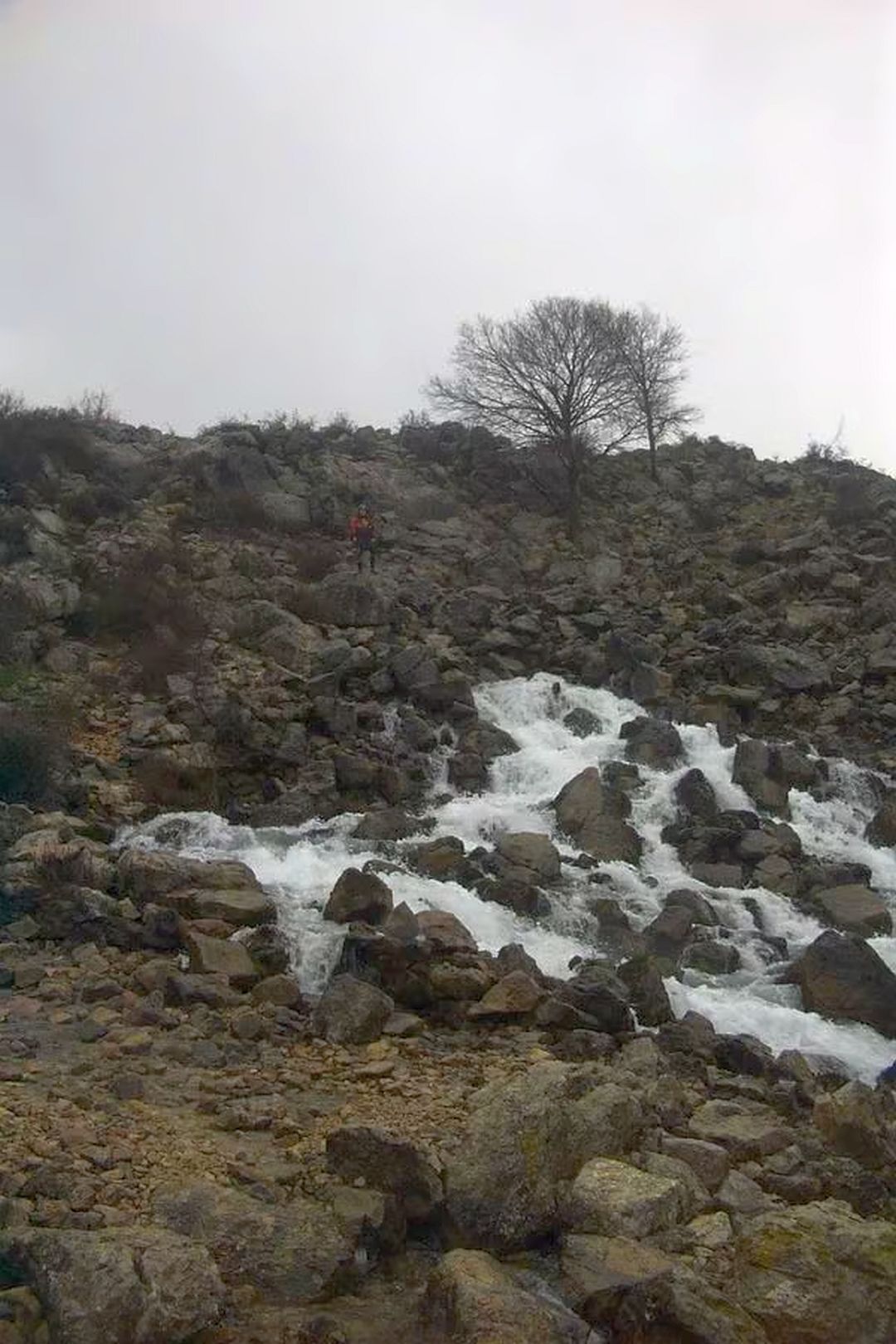 © Christoph S. 23.5.04 Kajak, Fluss Krupa, Abschnitt Manastir Krupa - Berberi a. d. Zrmanja die Krupaquelle