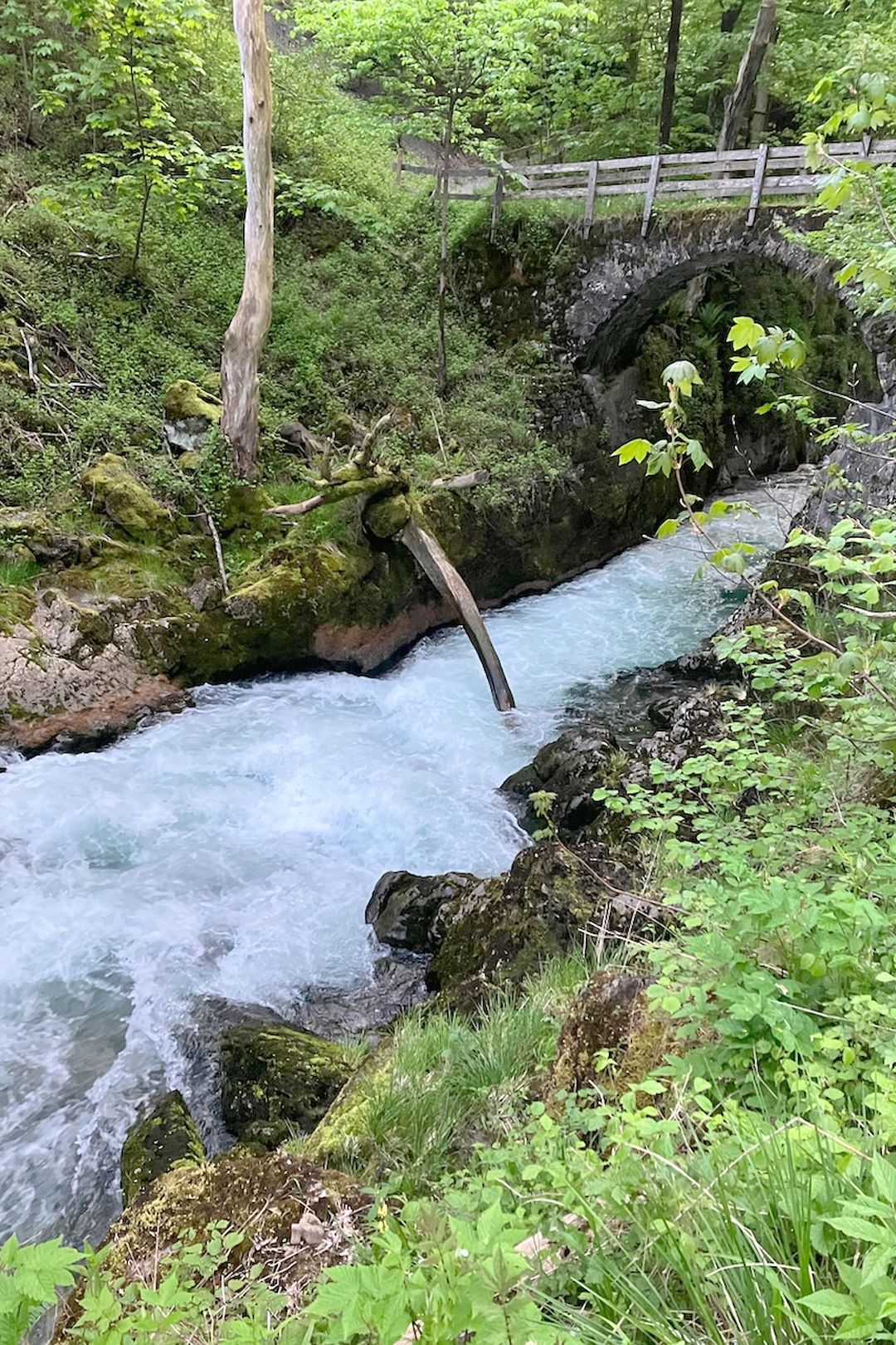 Kajak, Fluss Thur, Abschnitt Starkenbach - Stein (Oberste Thur Klammstrecke)