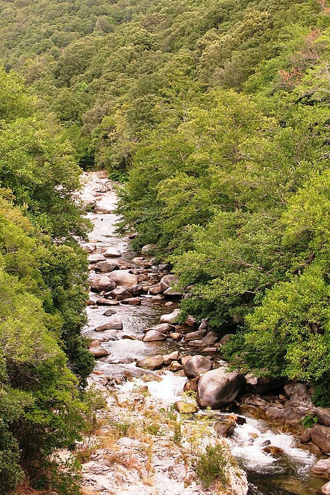 Kajak, Fluss Taravo, Abschnitt Guitera - Olivese (DKV 2. Etappe)