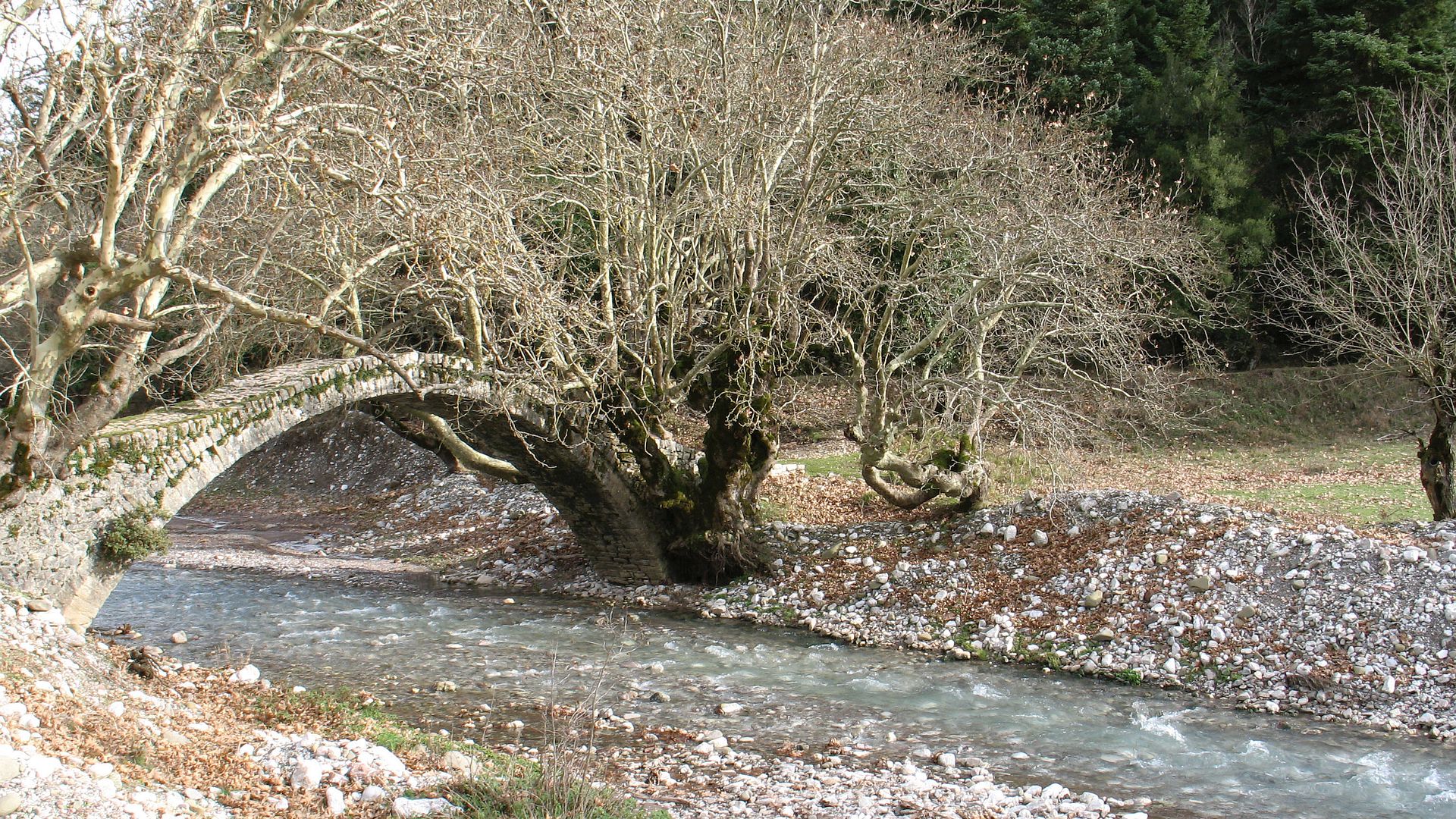 Kajak, Fluss Karpenisiotis, Abschnitt Karpenisi - Gavros (Oberlauf)