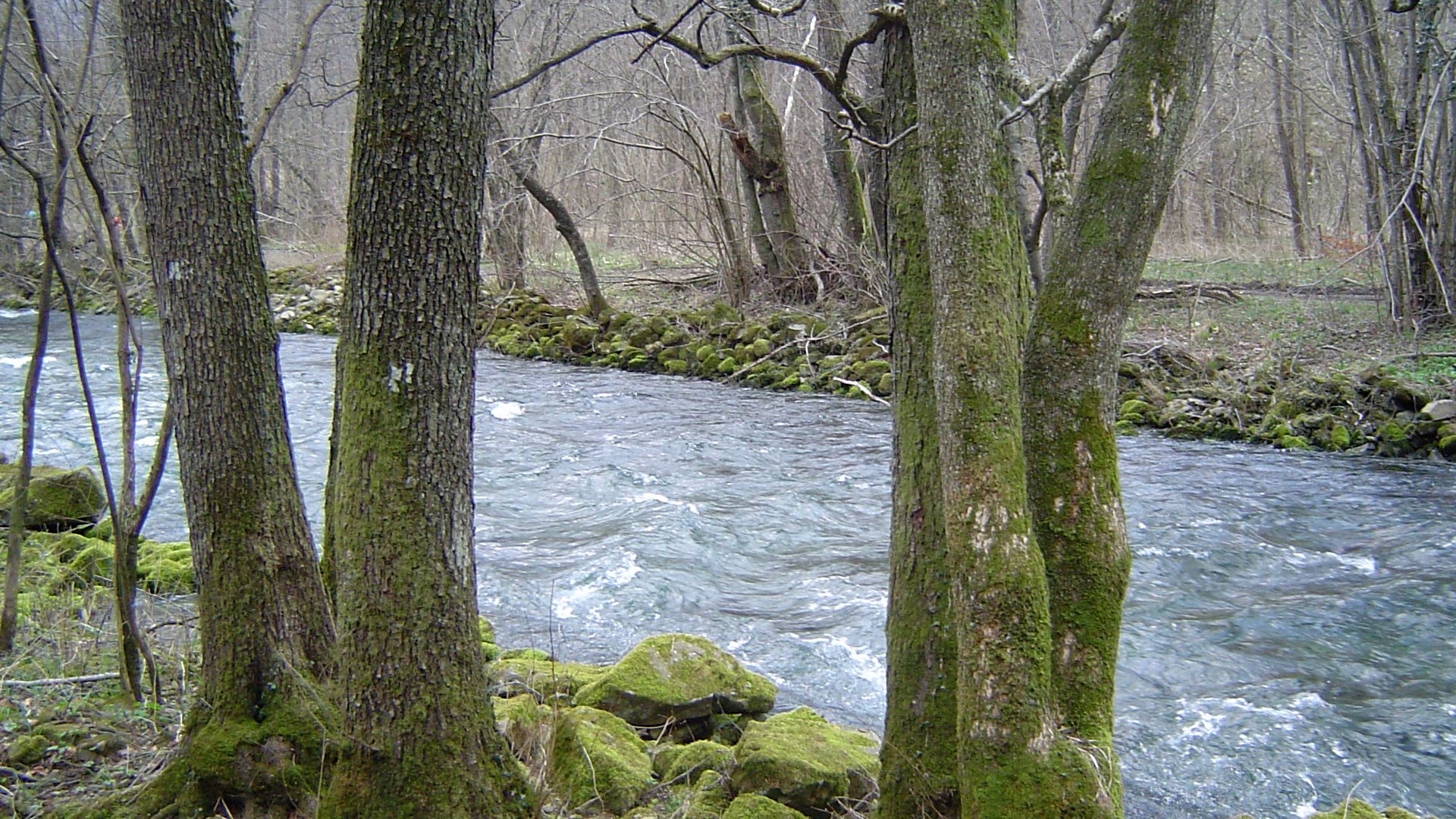 Kajak, Fluss Rječina, Abschnitt Quelle - Martinovo Selo (Oberlauf)