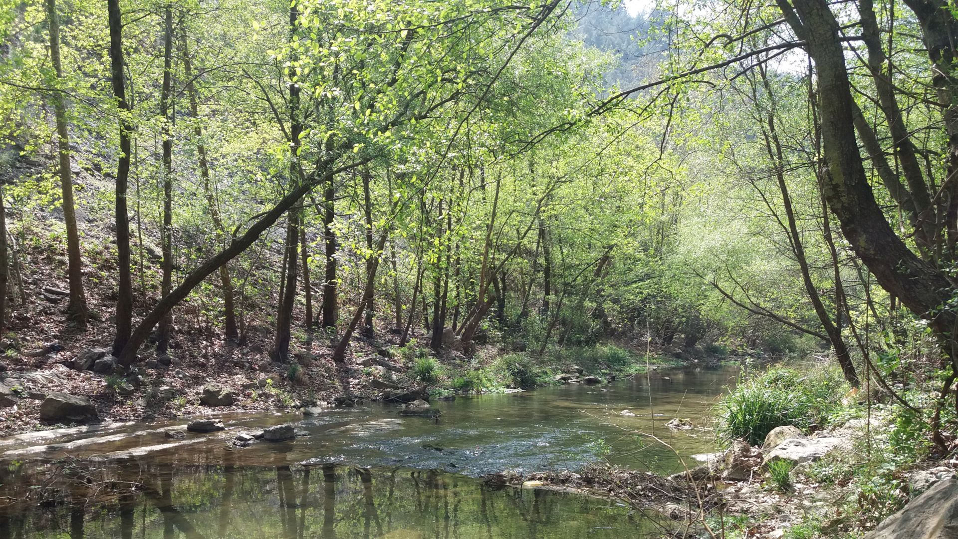 Kajak, Fluss Dim, Abschnitt Gesamtbeschreibung DKV