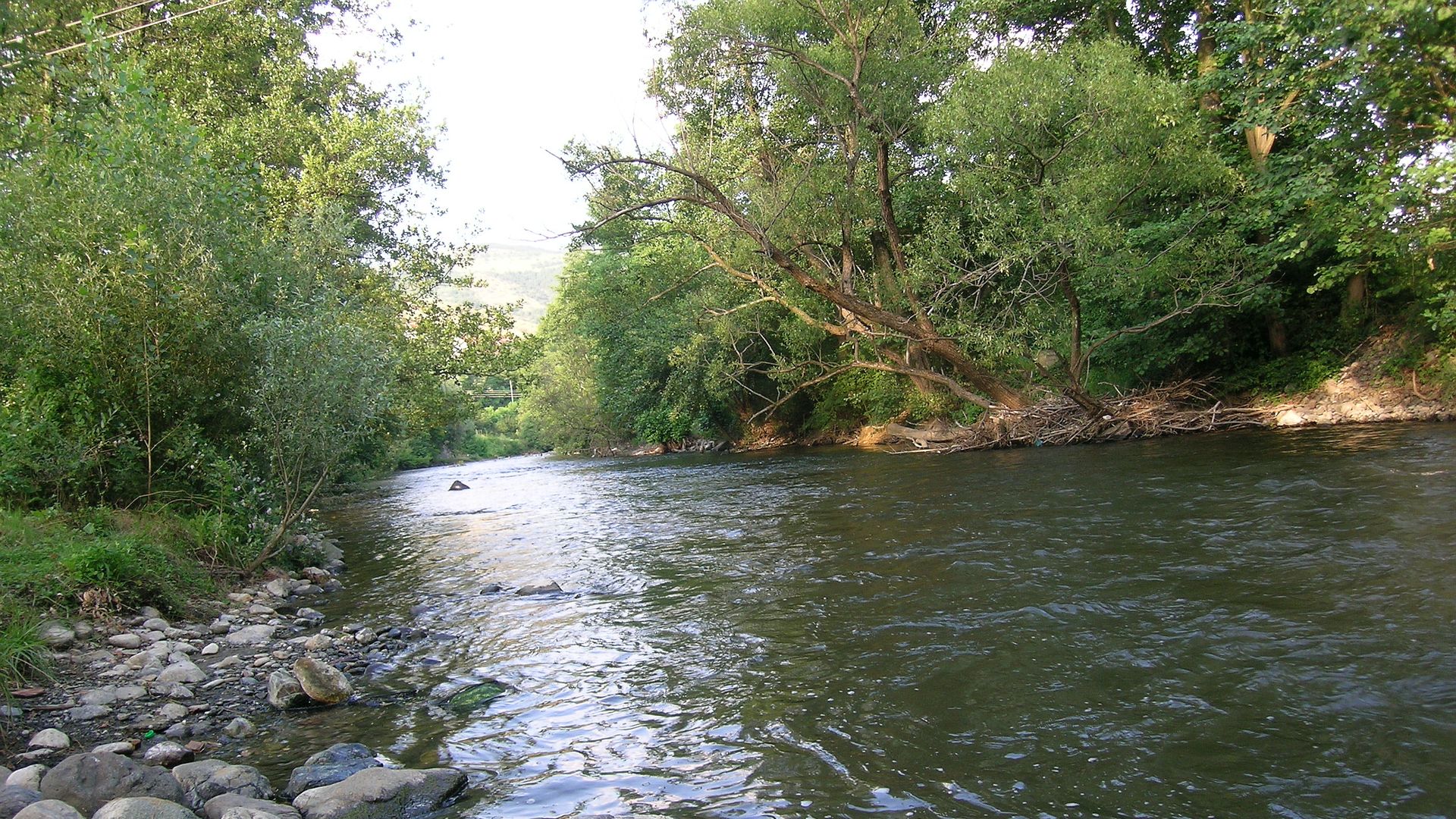 Kajak, Fluss Studenica, Abschnitt Kloster Studenica - Usce (Unterlauf)