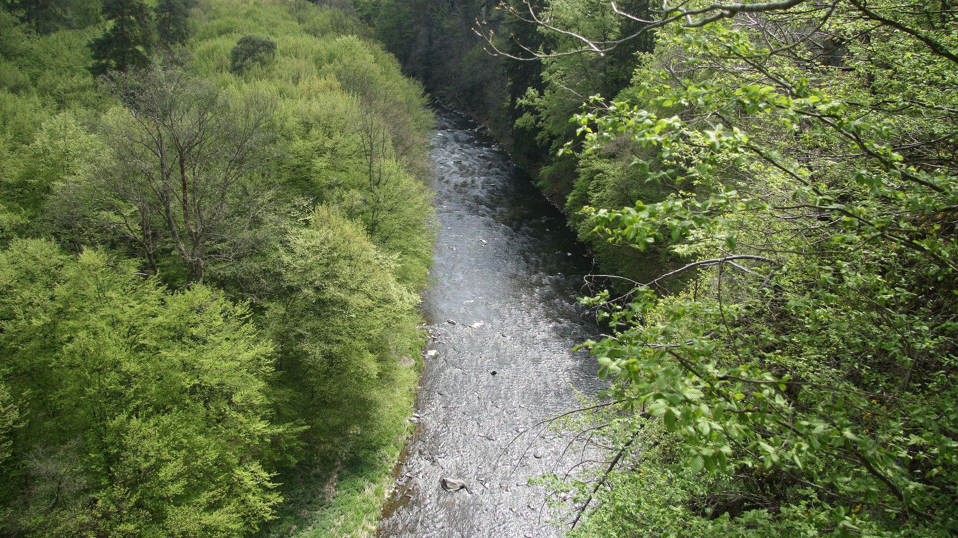 Kajak, Fluss Oslava, Abschnitt Náměšť - Kuroslepy