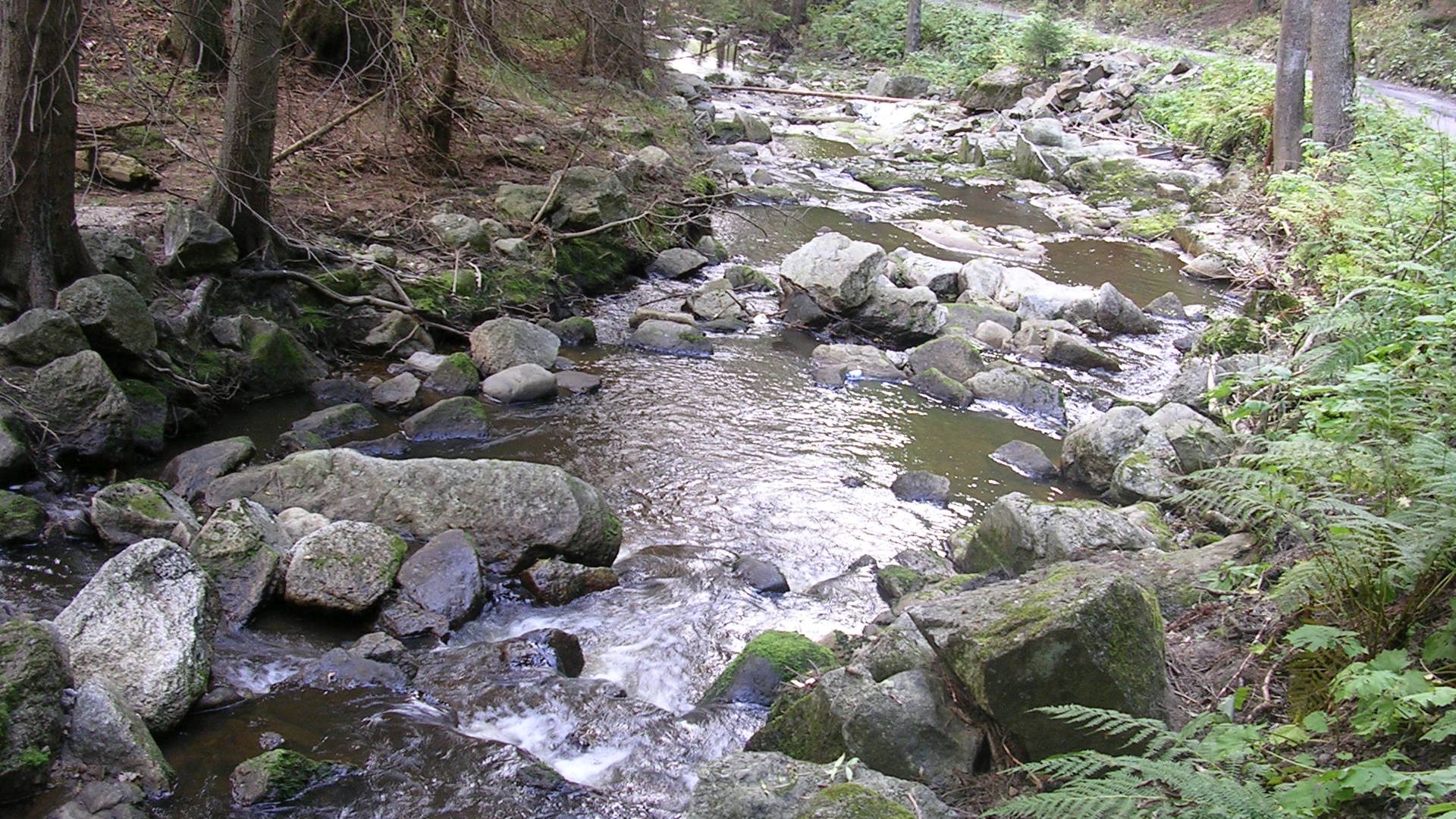 Kajak, Fluss Pohořský Potok, Abschnitt Pohorská Ves - Ličov (Unterlauf)