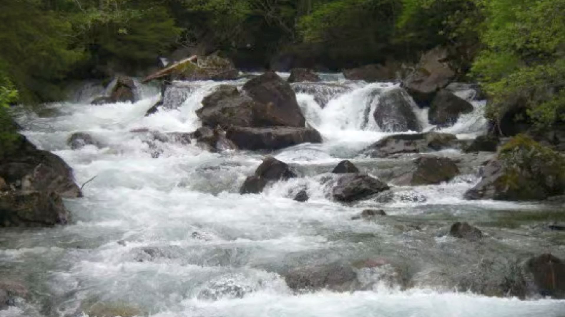 © Thomas R. 3.6.06 Kajak, Fluss Obertalbach, Abschnitt Oberlauf Engstelle kurz nach dem Einstieg