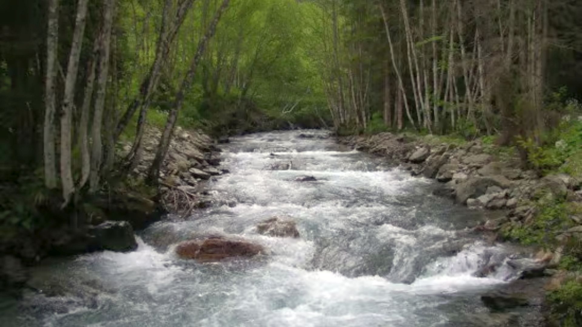 © Thomas R. 3.6.06 Kajak, Fluss Obertalbach, Abschnitt Oberlauf im Mittelteil