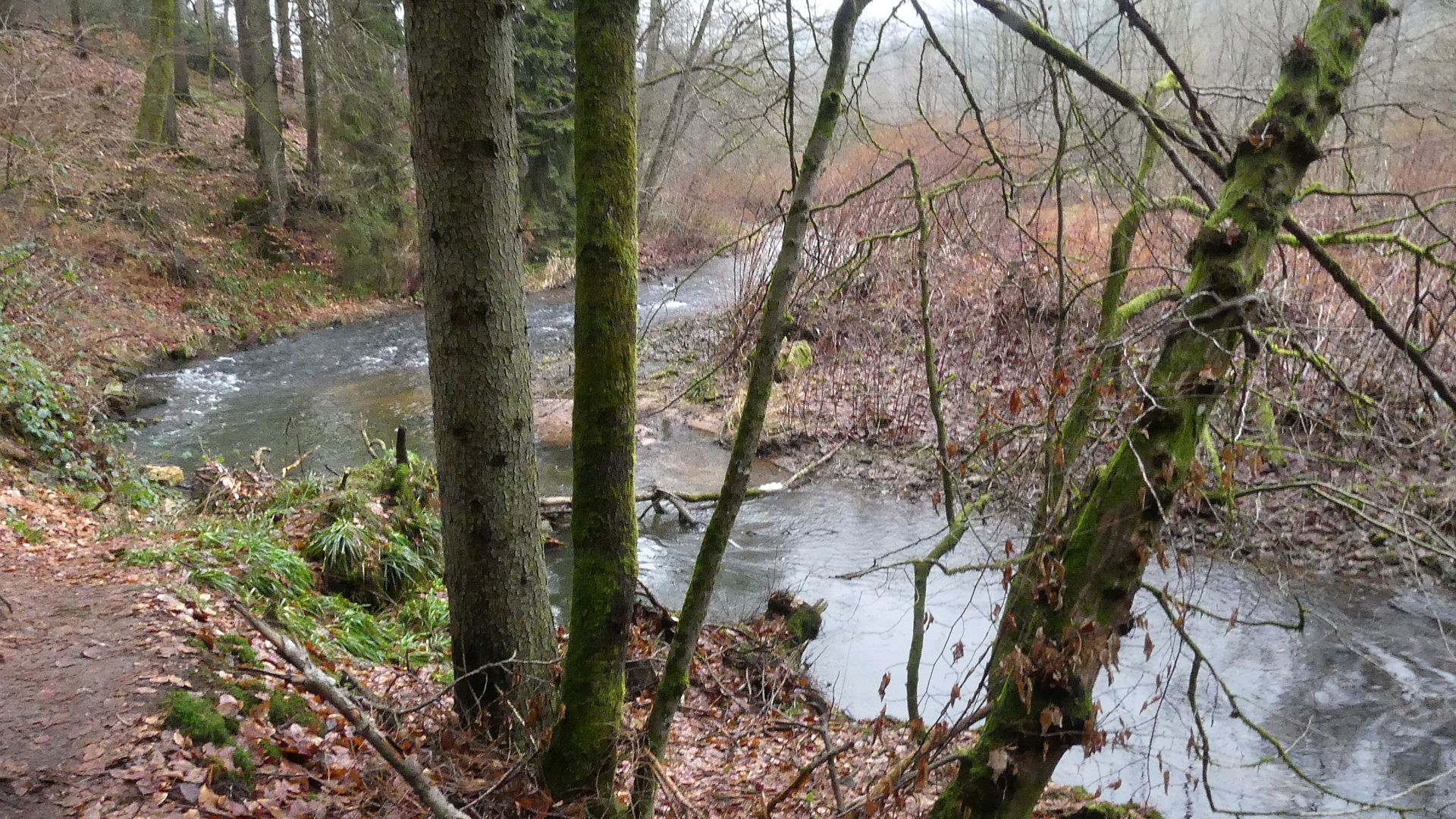 Kajak, Fluss Salm, Abschnitt Großlittgen - Bruch